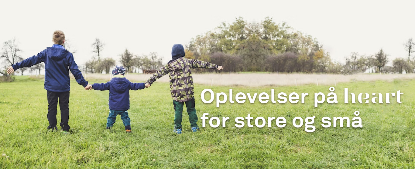 Billede til billedkarrusellen omkring oplevelser til hele familien